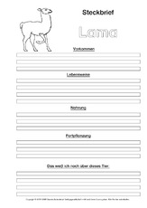 Lama-Steckbriefvorlage-sw-2.pdf